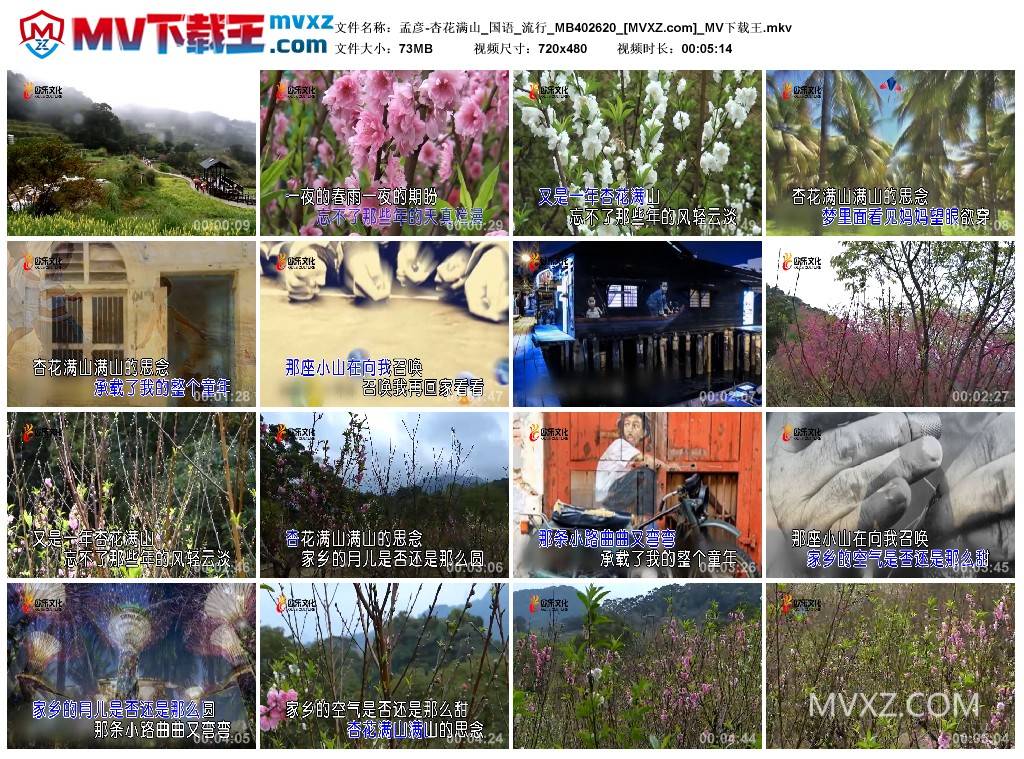 孟彦-杏花满山_国语_流行_MB402620